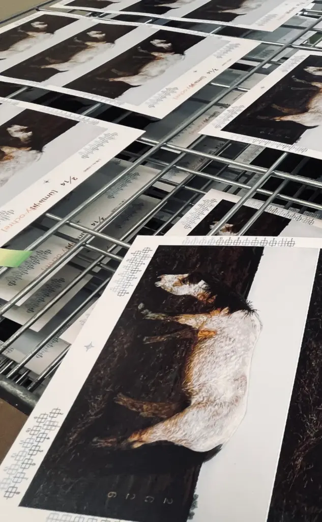 2026年賀状印刷のスナップ